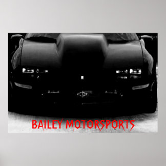 BAILEY MOTORSPORTS 95Z28 POSTER