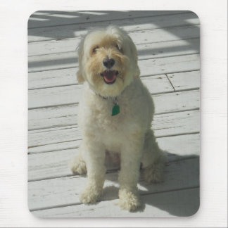 Bailey the Beautiful Dog on the Deck Mouse Pad