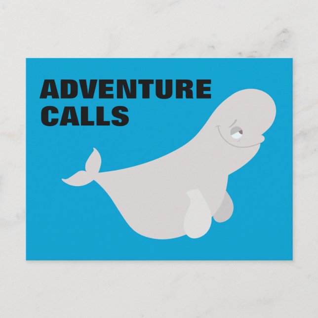 Bailey the Beluga Whale Postcard (Front)