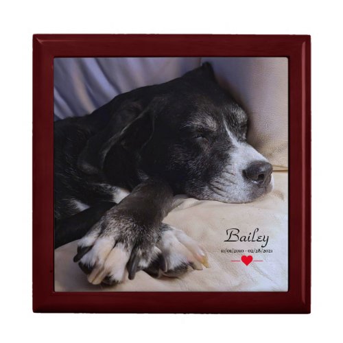 Bailey Your Pet Photo Memorial Box