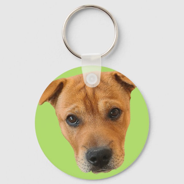 Baileybobs Shirt Keychain (Front)