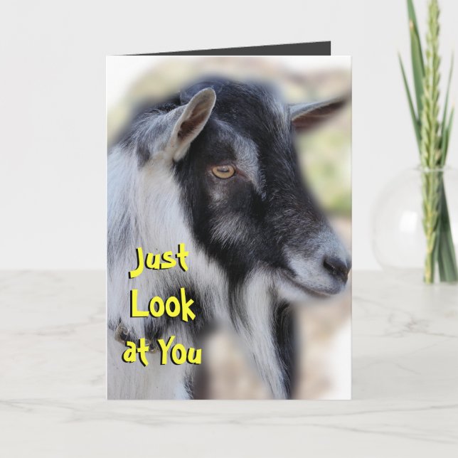 BaileyLookatYou-customize any occasion Card (Front)