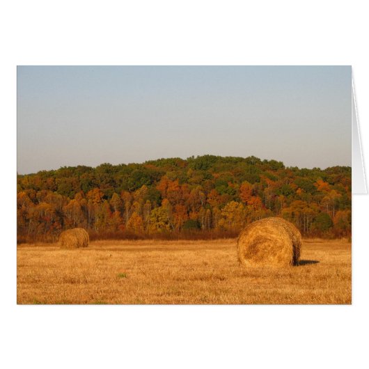 Bails of Hay Cards (Front Horizontal)
