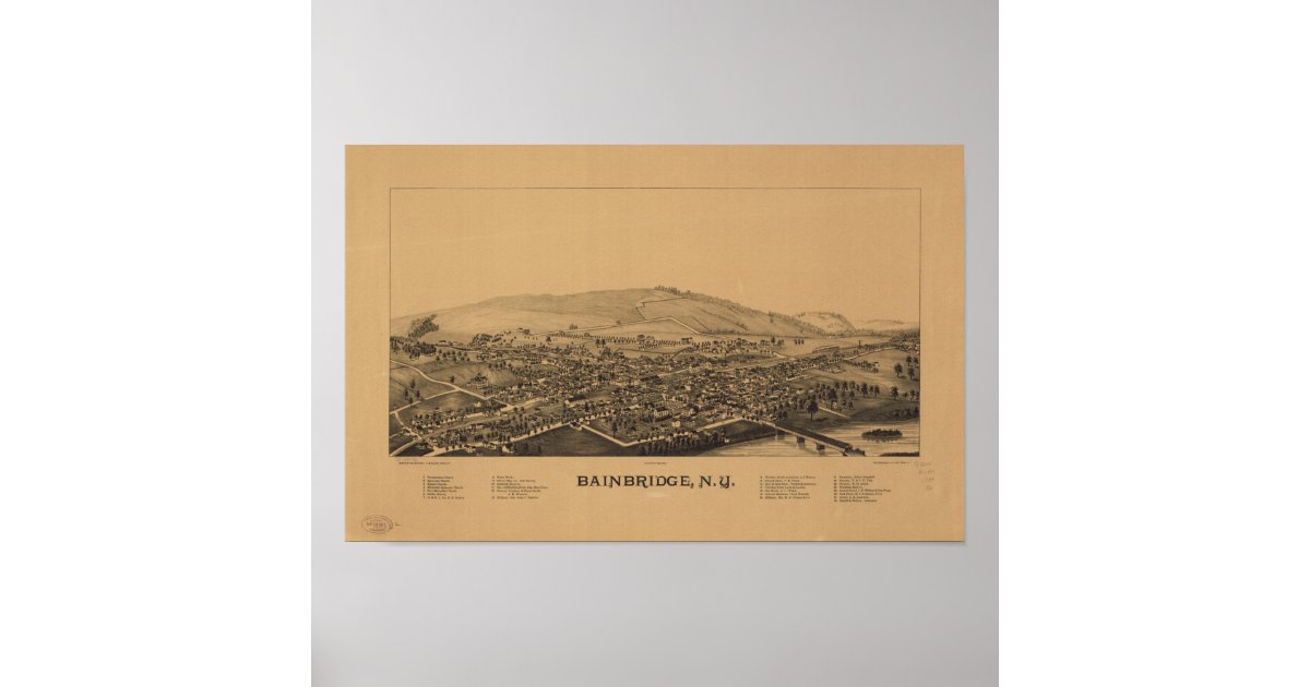 Bainbridge New York 1889 Antique Panoramic Map Poster