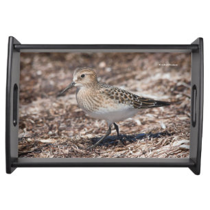 Baird's Sandpiper Shorebird on the Beach Serving Tray