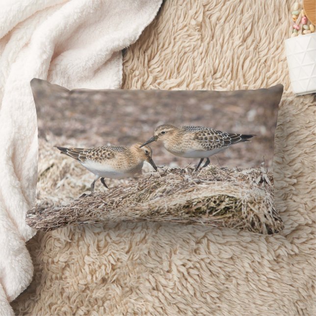 Baird's Sandpipers on Autumn Beach Lumbar Pillow (Blanket)