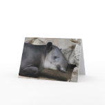 Baird's Tapir Greeting Card