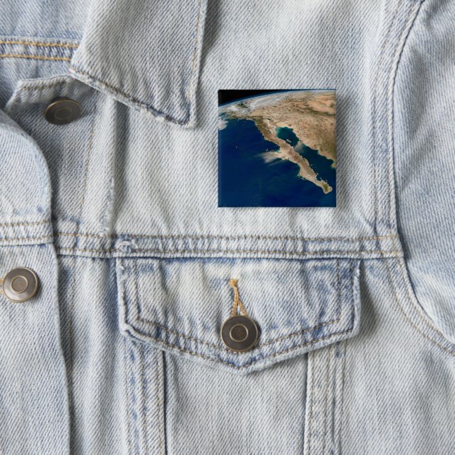 Baja California And The Pacific Coast Of Mexico. Button (In Situ)