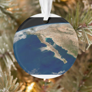 Baja California And The Pacific Coast Of Mexico. Ornament