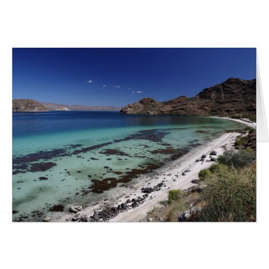 Baja Conception Bay Cards (Front Horizontal)