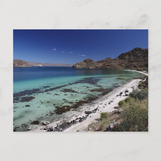 Baja Conception Bay Postcard (Front)