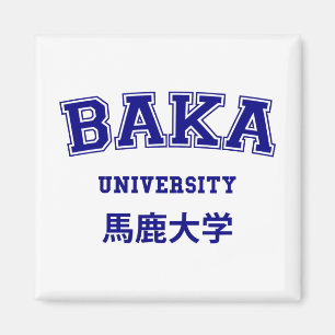 BAKA UNIVERSITY MAGNET