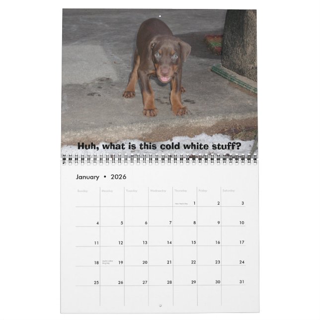 Bakari Dobermans 2008 Calendar (Jan 2026)