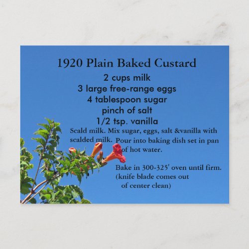 Baked Custard Recipe Postcard