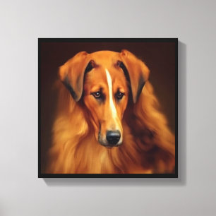 Bakharwal Dog - Dog Portrait Canvas Print