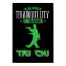 Balance Tranquility Strenght Tai Chi
