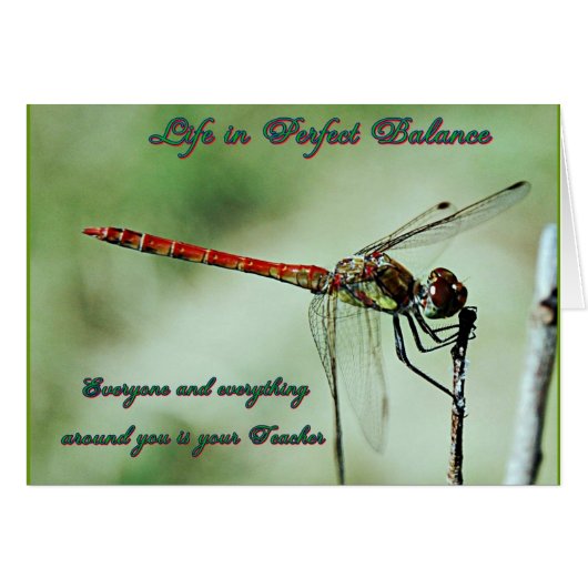 Balance with Nature Cards (Front Horizontal)