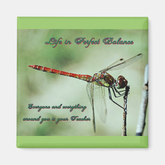 Balance with Nature Magnet