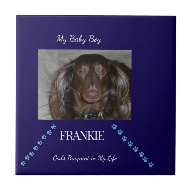 Balanced Pawprint Blessing Keepsake Ceramic Tile (Front)