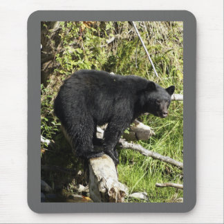 "Balancing Act" Black Bear gifts Mouse Pad