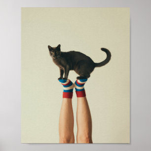 Balancing Cat on Striped Socks, Black Cat Poster