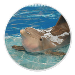 Balancing Dolphin Ceramic Knob