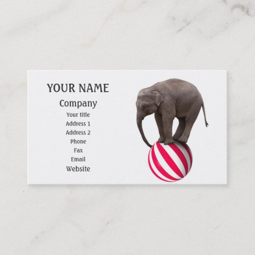Balancing elephant business card
