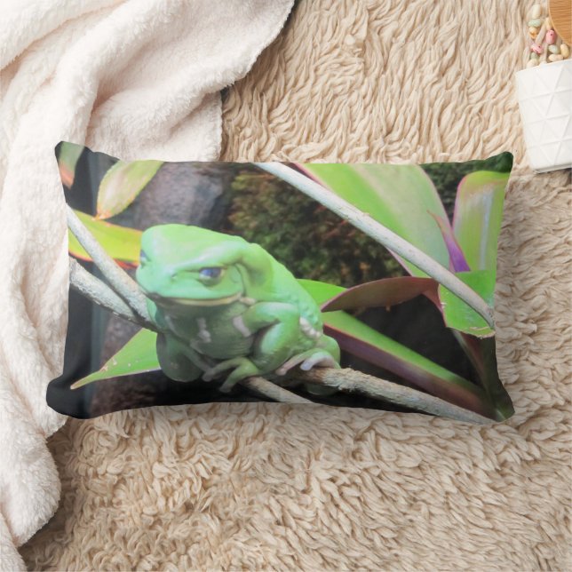 Balancing Frog Lumbar Pillow (Blanket)
