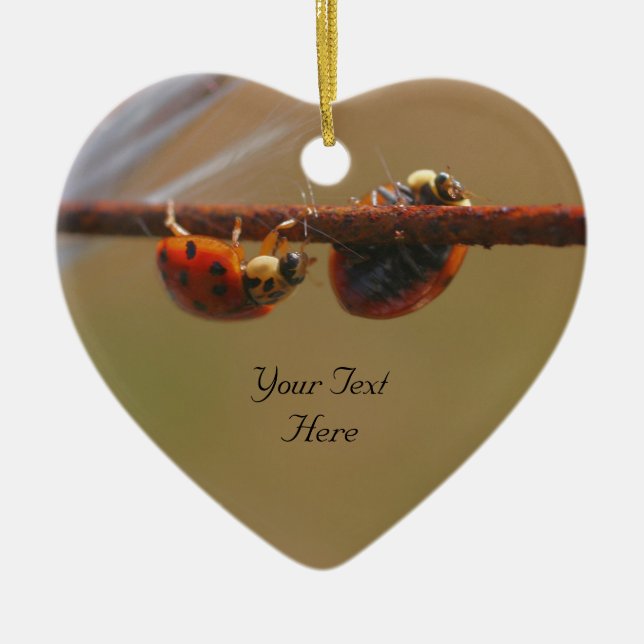 Balancing Ladybugs Cute Nature Ornament (Front)