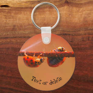 Balancing Ladybugs Nature Personalized Keychain