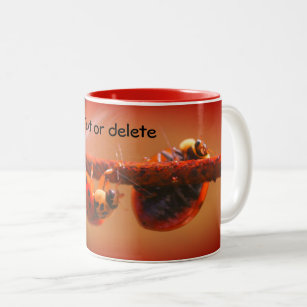 Balancing Ladybugs Nature Personalized Two-Tone Coffee Mug