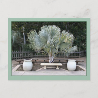 Balboa Park Scene Reminiscent of Maxfield Parrish Postcard