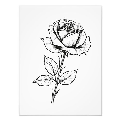 Balck White Rose Line Art Photo Print