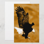 Bald American Eagle (Front/Back)