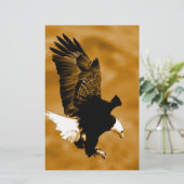 Bald American Eagle (Standing Front)