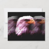 Bald American Eagle (Front)