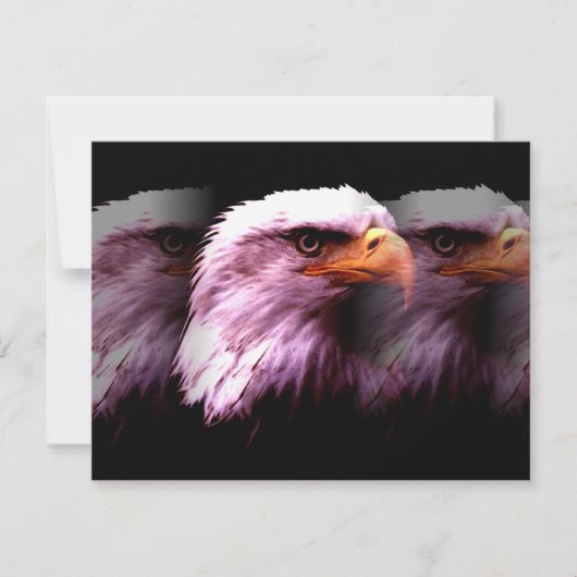 Bald American Eagle (Front)