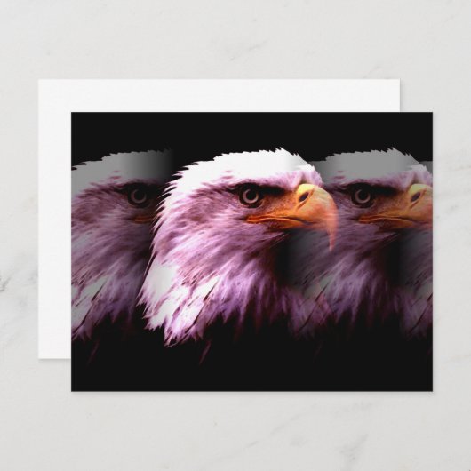 Bald American Eagle (Front/Back)