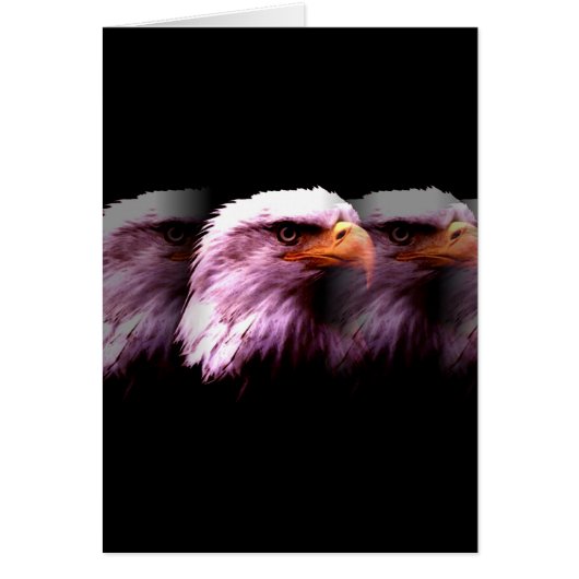 Bald American Eagle Cards (Front)