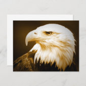 Bald American Eagle Eye (Front/Back)