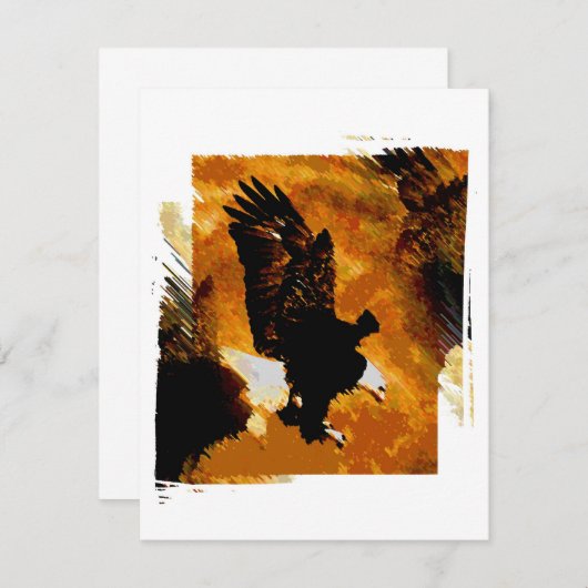 Bald American Eagle Landing (Front/Back)