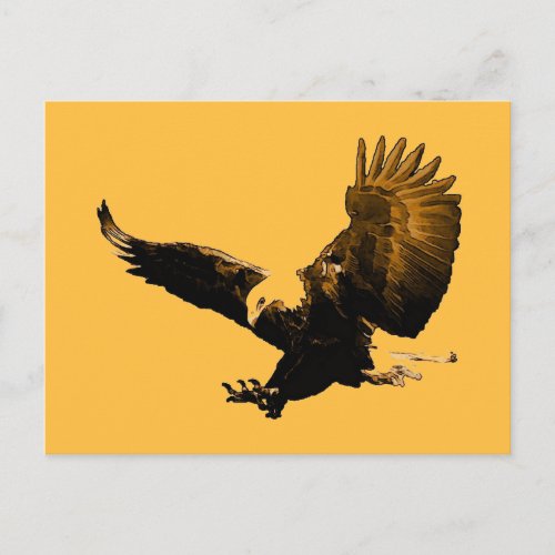 Bald American Eagle Landing Postcard