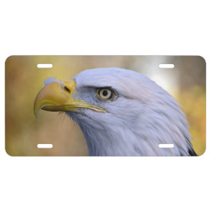 Bald american eagle license plate