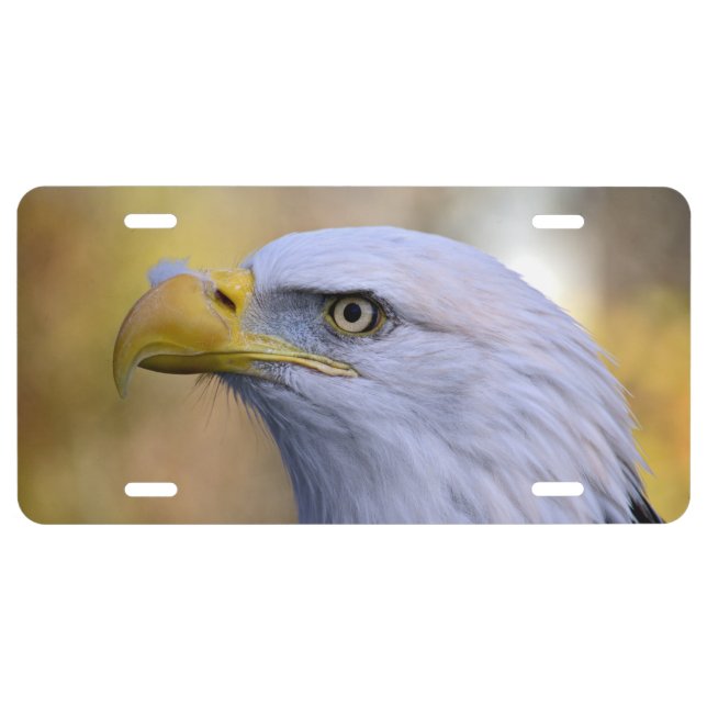 Bald american eagle license plate (Front)