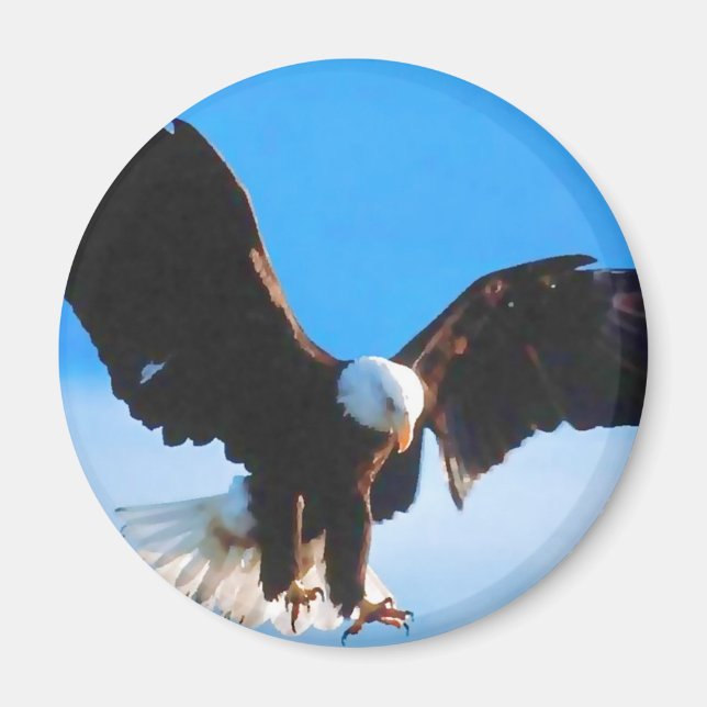 Bald American Eagle Magnet (Front)