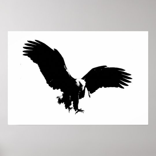 Bald American Eagle Poster Print BW Eagles Posters | Zazzle.com