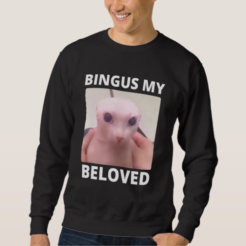 Bald Bingus My Beloved Hairless Sphinx Cat Sweatshirt