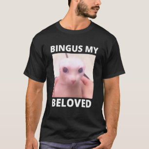 Bald Bingus My Beloved Hairless Sphinx Cat T-Shirt