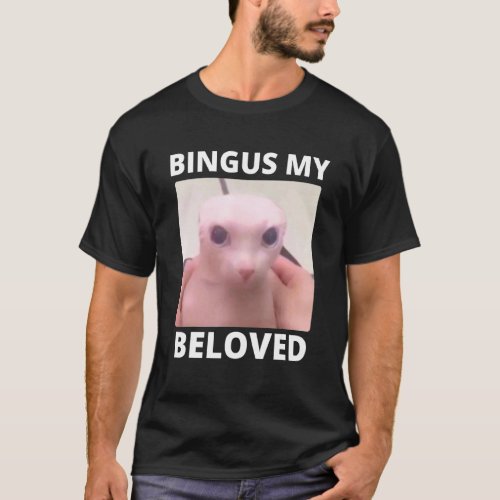 Bald Bingus My Beloved Hairless Sphinx Cat T_Shirt