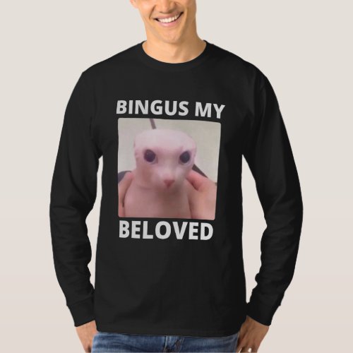 Bald Bingus My Beloved Hairless Sphinx Cat T_Shirt